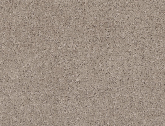 Shaw Floors - Carpet - Pet Perfect + Collection - Home Within - 12' - Chic Greige