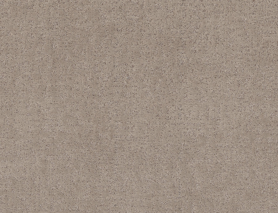 Shaw Floors - Carpet - Pet Perfect + Collection - Home Within - 12' - Chic Greige
