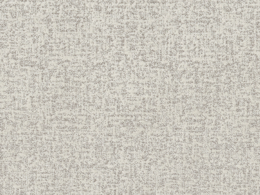 Shaw Floors - Carpet - Pet Perfect + Collection - Home Within - 12' - Snowfall