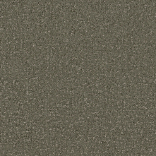 Shaw Floors - Carpet - Pet Perfect + Collection - Home Within - 12' - Rerooted Nature