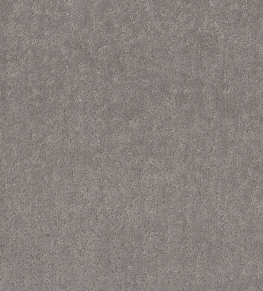 Shaw Floors - Carpet - Pet Perfect + Collection - Home Within - 12' - Vintage