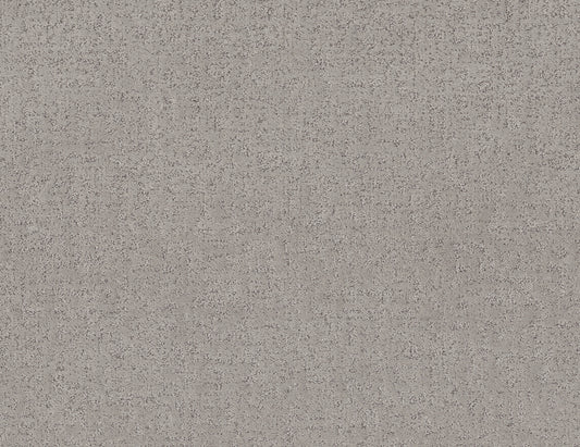 Shaw Floors - Carpet - Pet Perfect + Collection - Home Within - 12' - Gravity