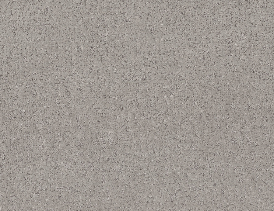 Shaw Floors - Carpet - Pet Perfect + Collection - Home Within - 12' - Gravity