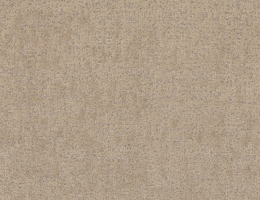 Shaw Floors - Carpet - Pet Perfect + Collection - Home Within - 12' - Worn Path
