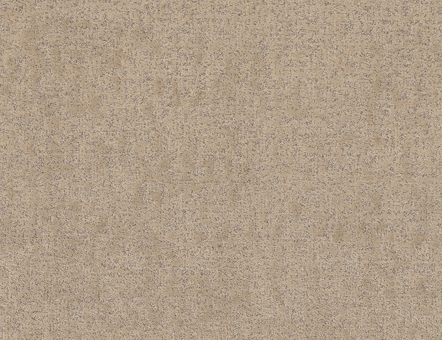 Shaw Floors - Carpet - Pet Perfect + Collection - Home Within - 12' - Worn Path