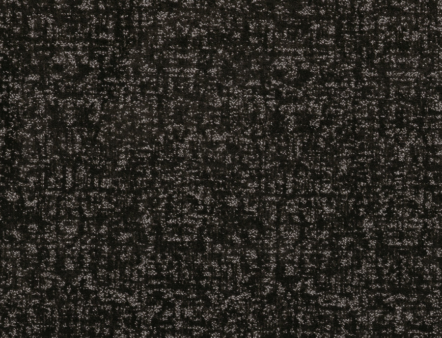 Shaw Floors - Carpet - Pet Perfect + Collection - Home Within - 12' - Cafe Noir
