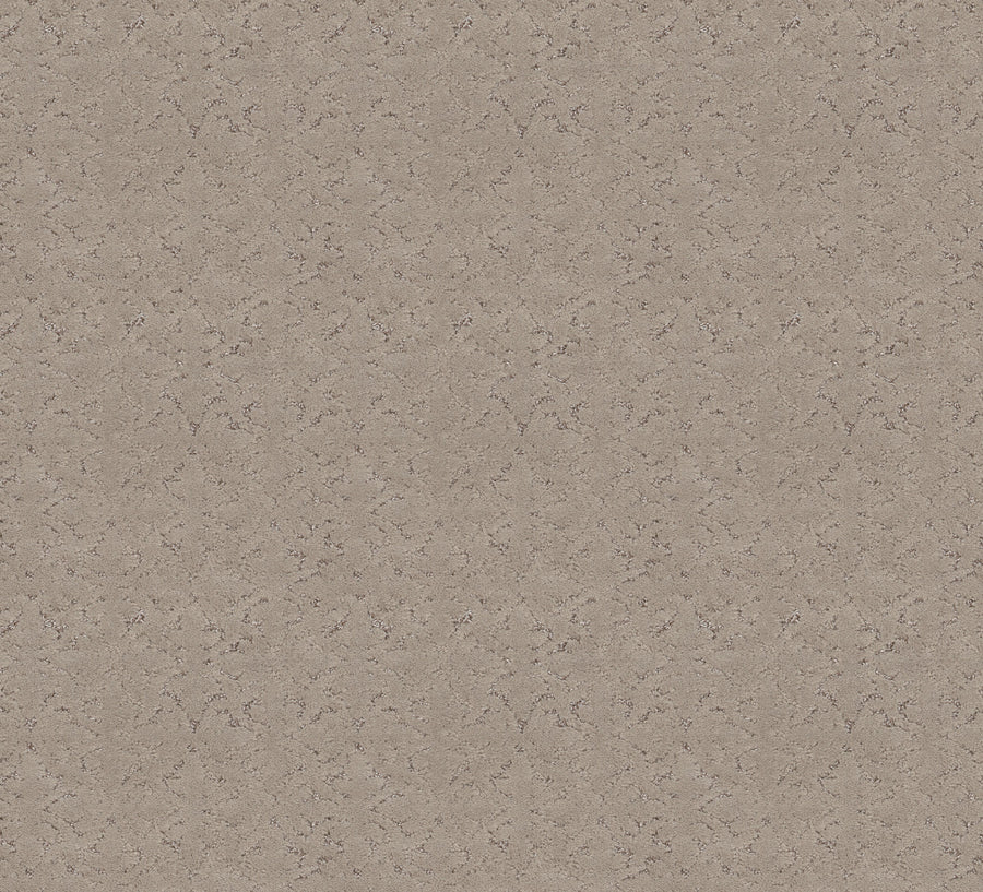 Shaw Floors - Carpet - Pet Perfect + Collection - Light Impressions - 12' - Chic Greige