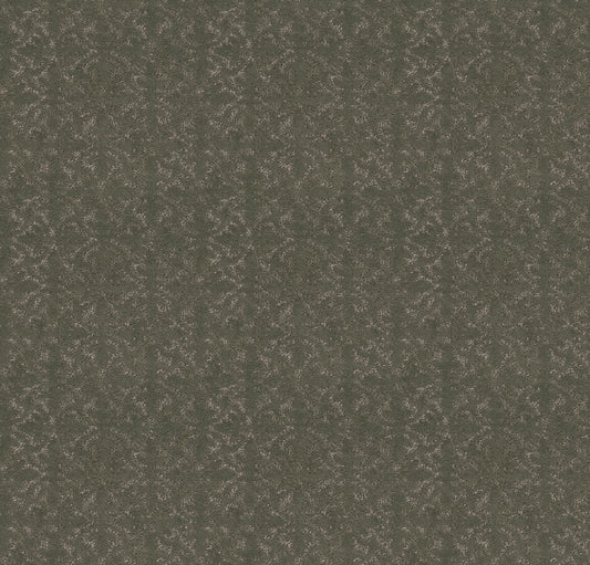 Shaw Floors - Carpet - Pet Perfect + Collection - Light Impressions - 12' - Rerooted Nature