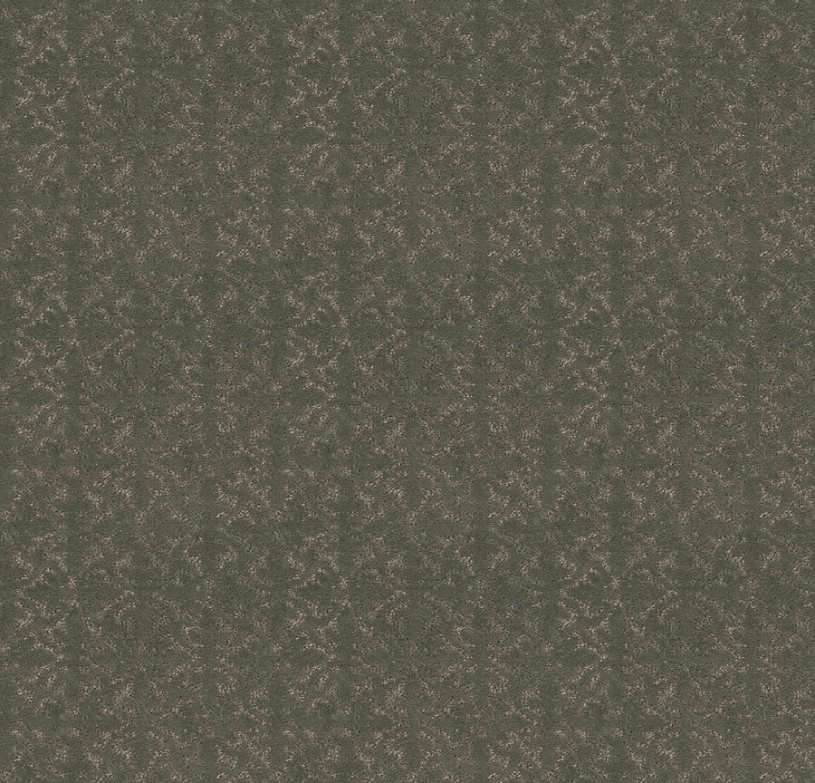 Shaw Floors - Carpet - Pet Perfect + Collection - Light Impressions - 12' - Rerooted Nature