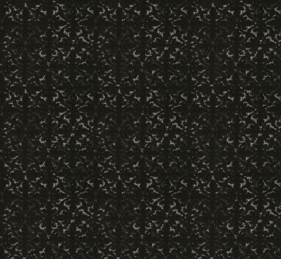 Shaw Floors - Carpet - Pet Perfect + Collection - Light Impressions - 12' - Cafe Noir