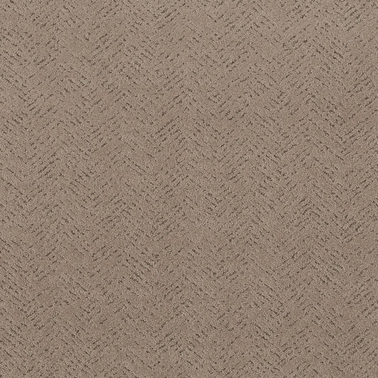 Shaw Floors - Carpet - Pet Perfect™ Collection Collection - Favoured Path - 12' - Cameo