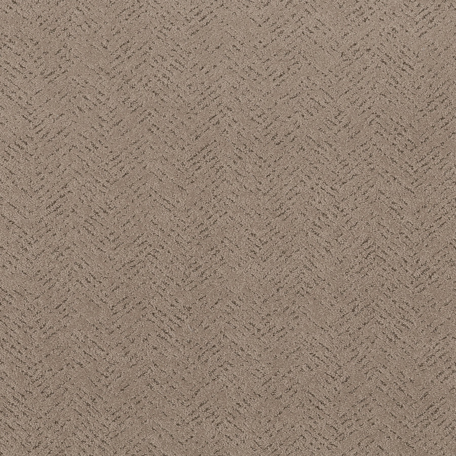 Shaw Floors - Carpet - Pet Perfect™ Collection Collection - Favoured Path - 12' - Cameo