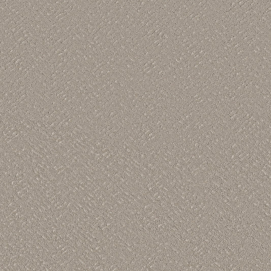 Shaw Floors - Carpet - Pet Perfect™ Collection Collection - Favoured Path - 12' - Sculpture