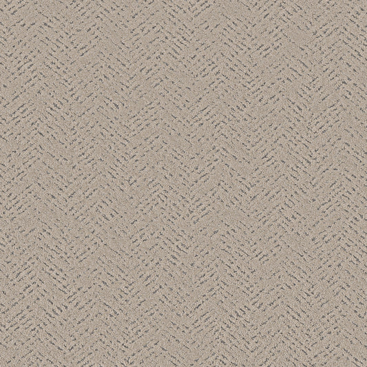 Shaw Floors - Carpet - Pet Perfect™ Collection Collection - Favoured Path - 12' - Warm Light