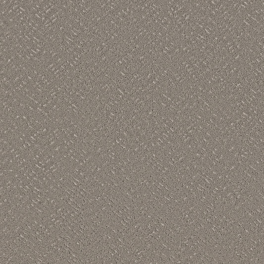 Shaw Floors - Carpet - Pet Perfect™ Collection Collection - Favoured Path - 12' - Ashes