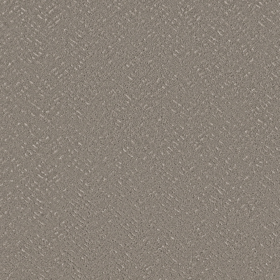 Shaw Floors - Carpet - Pet Perfect™ Collection Collection - Favoured Path - 12' - Ashes