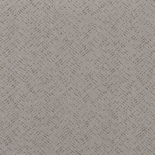 Shaw Floors - Carpet - Pet Perfect™ Collection Collection - Favoured Path - 12' - Gravity