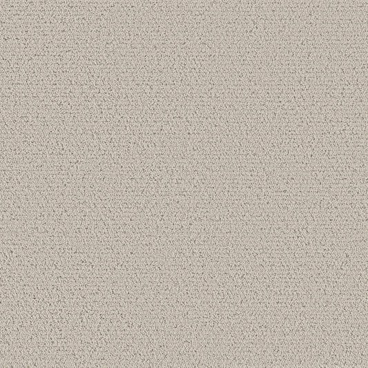 Shaw Floors - Carpet - Pet Perfect™ Collection Collection - Intricate Trace - 12' - Almond Silk