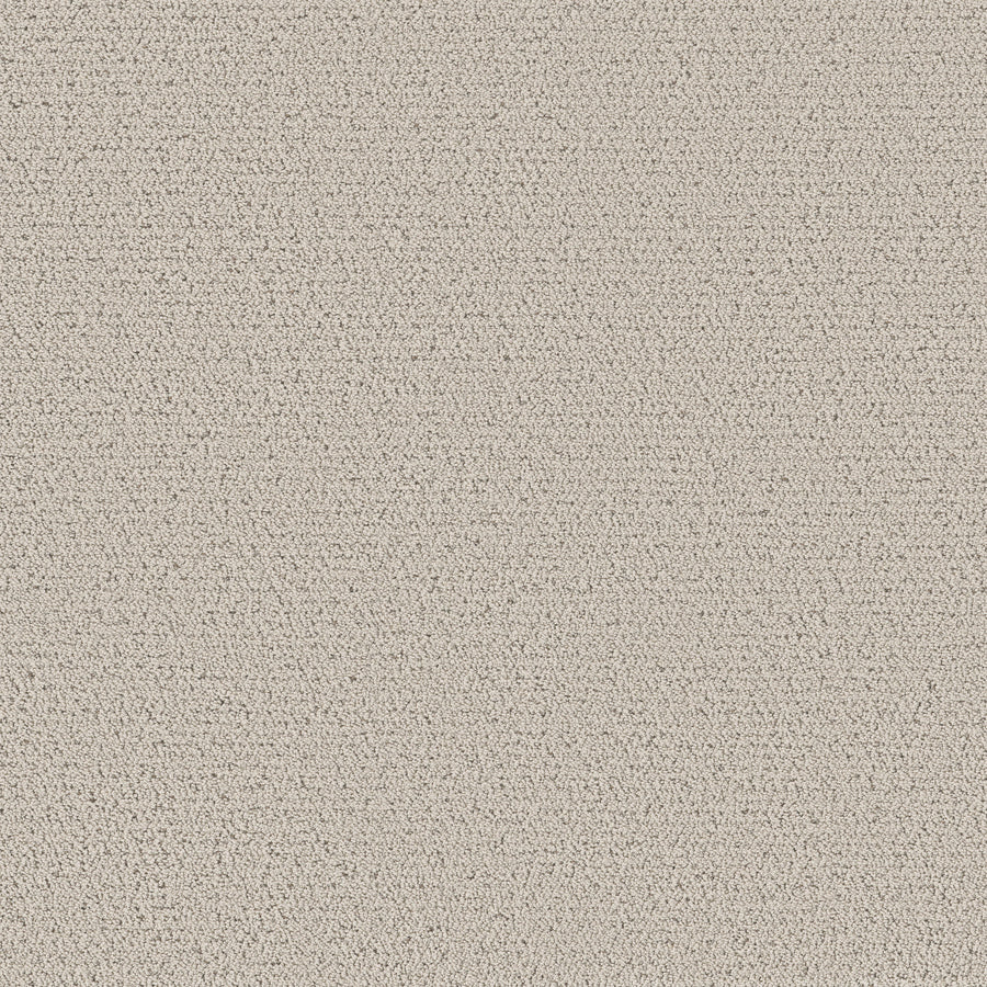 Shaw Floors - Carpet - Pet Perfect™ Collection Collection - Intricate Trace - 12' - Almond Silk