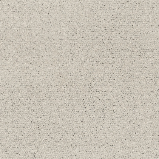 Shaw Floors - Carpet - Pet Perfect™ Collection Collection - Intricate Trace - 12' - Marble