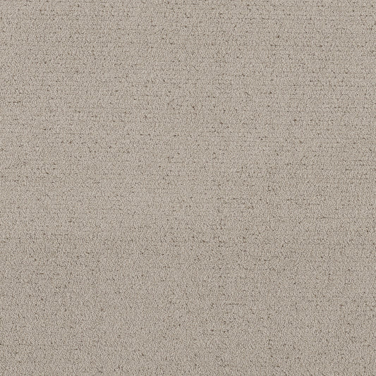 Shaw Floors - Carpet - Pet Perfect™ Collection Collection - Intricate Trace - 12' - River Birch