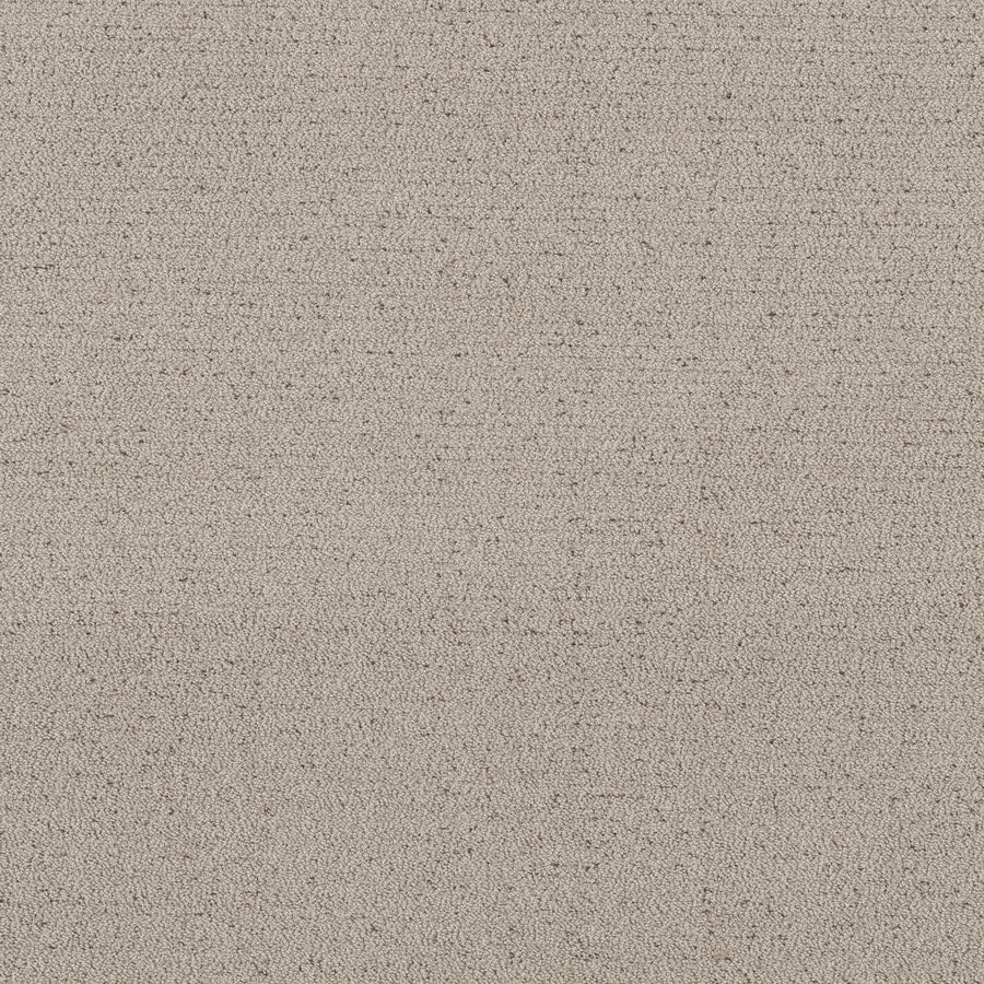 Shaw Floors - Carpet - Pet Perfect™ Collection Collection - Intricate Trace - 12' - River Birch