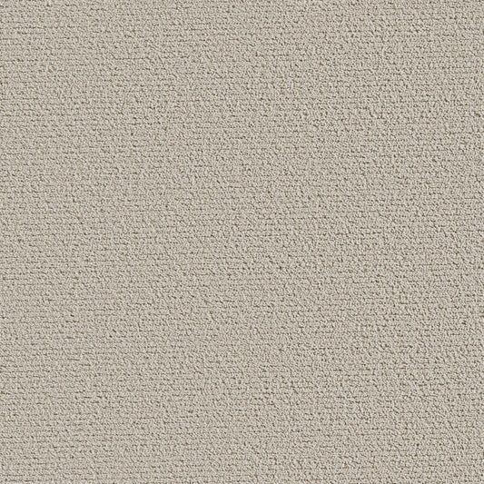 Shaw Floors - Carpet - Pet Perfect™ Collection Collection - Intricate Trace - 12' - Natural