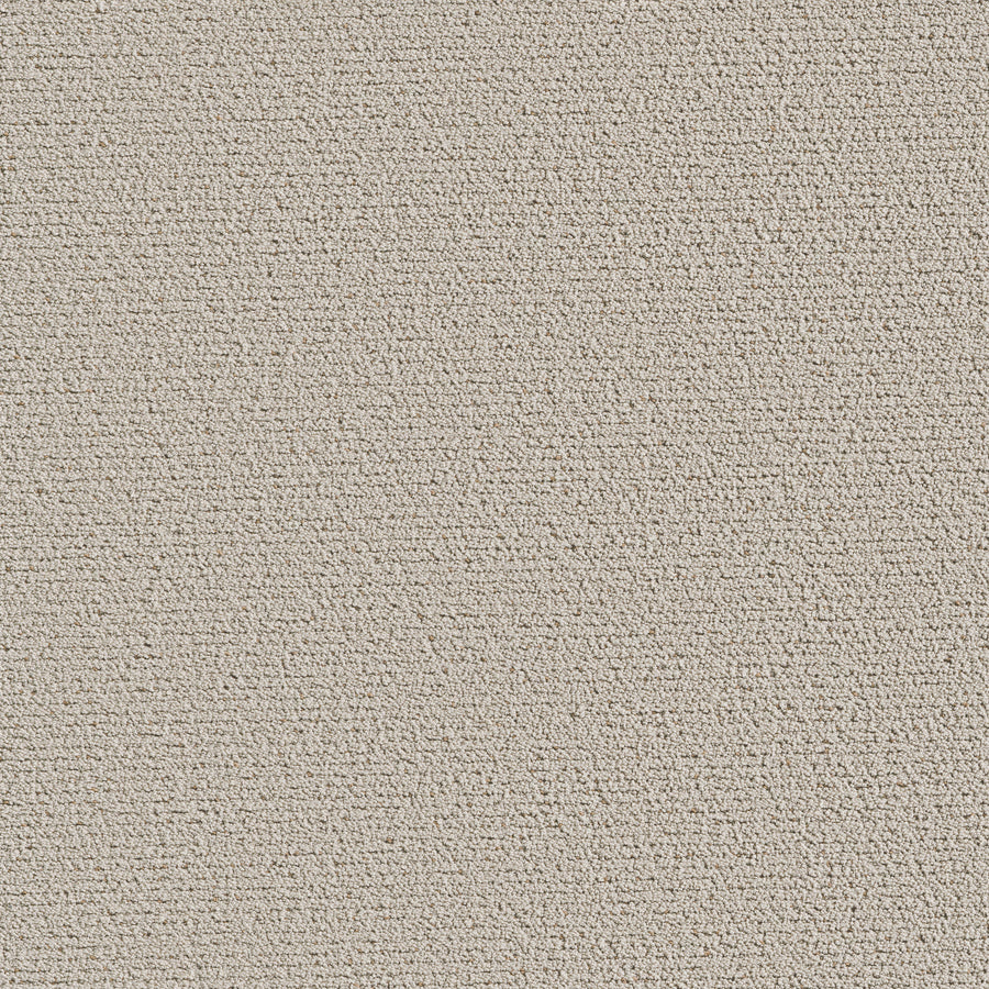Shaw Floors - Carpet - Pet Perfect™ Collection Collection - Intricate Trace - 12' - Natural