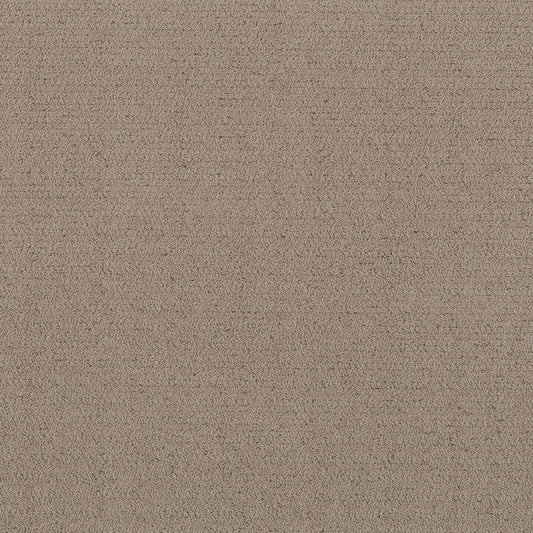 Shaw Floors - Carpet - Pet Perfect™ Collection Collection - Intricate Trace - 12' - Cameo