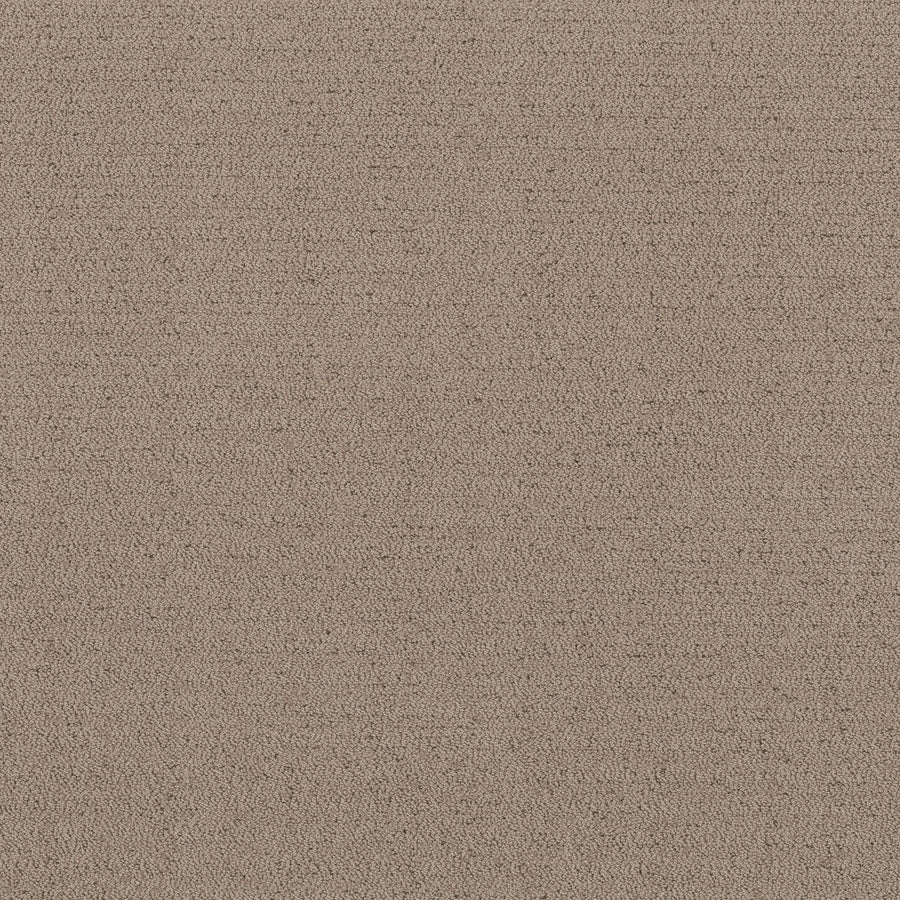 Shaw Floors - Carpet - Pet Perfect™ Collection Collection - Intricate Trace - 12' - Cameo