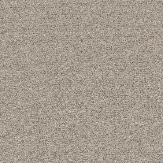 Shaw Floors - Carpet - Pet Perfect™ Collection Collection - Intricate Trace - 12' - Sculpture