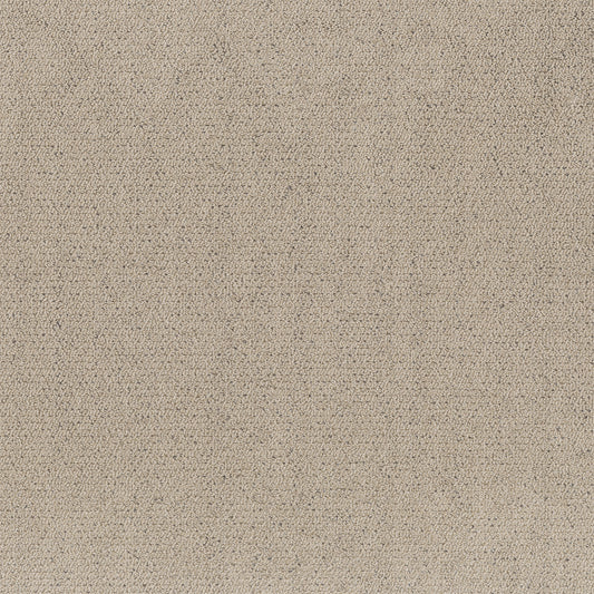 Shaw Floors - Carpet - Pet Perfect™ Collection Collection - Intricate Trace - 12' - Warm Light