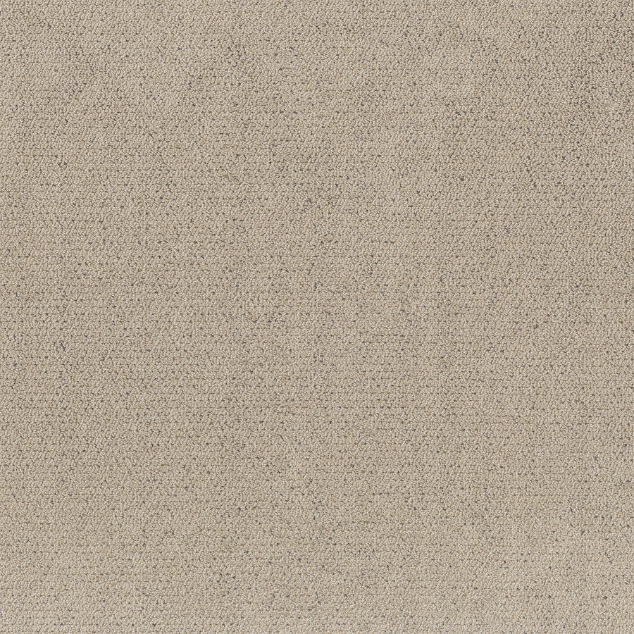 Shaw Floors - Carpet - Pet Perfect™ Collection Collection - Intricate Trace - 12' - Warm Light