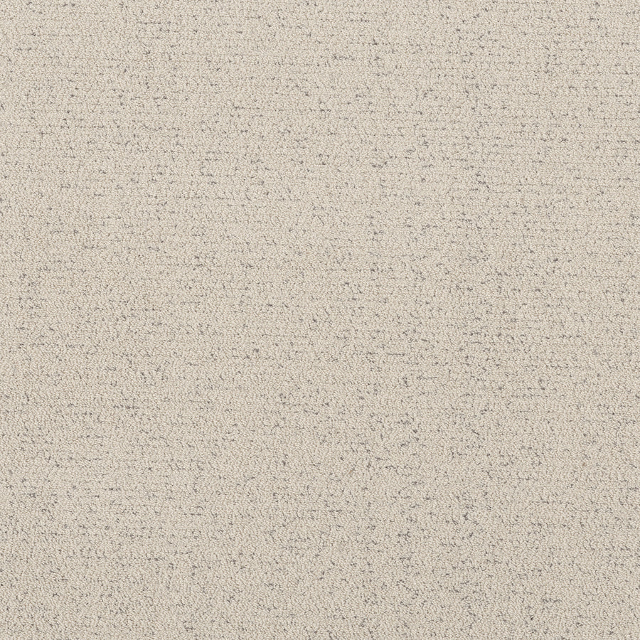 Shaw Floors - Carpet - Pet Perfect™ Collection Collection - Intricate Trace - 12' - Snowfall