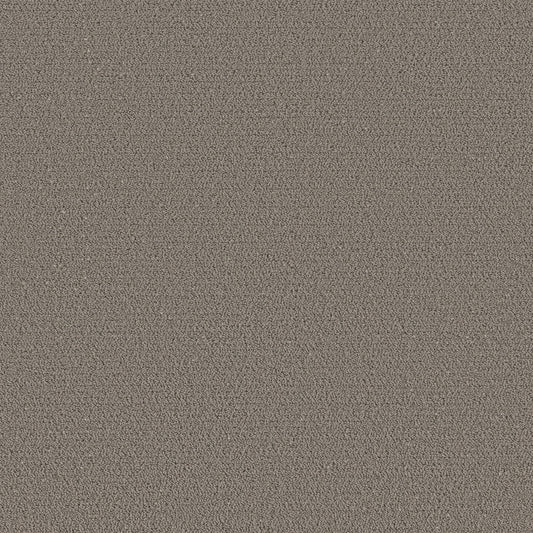 Shaw Floors - Carpet - Pet Perfect™ Collection Collection - Intricate Trace - 12' - Ashes