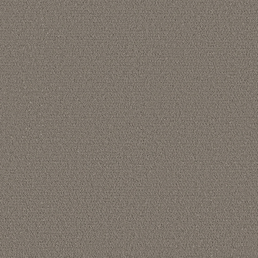 Shaw Floors - Carpet - Pet Perfect™ Collection Collection - Intricate Trace - 12' - Ashes