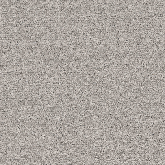 Shaw Floors - Carpet - Pet Perfect™ Collection Collection - Intricate Trace - 12' - Flannel
