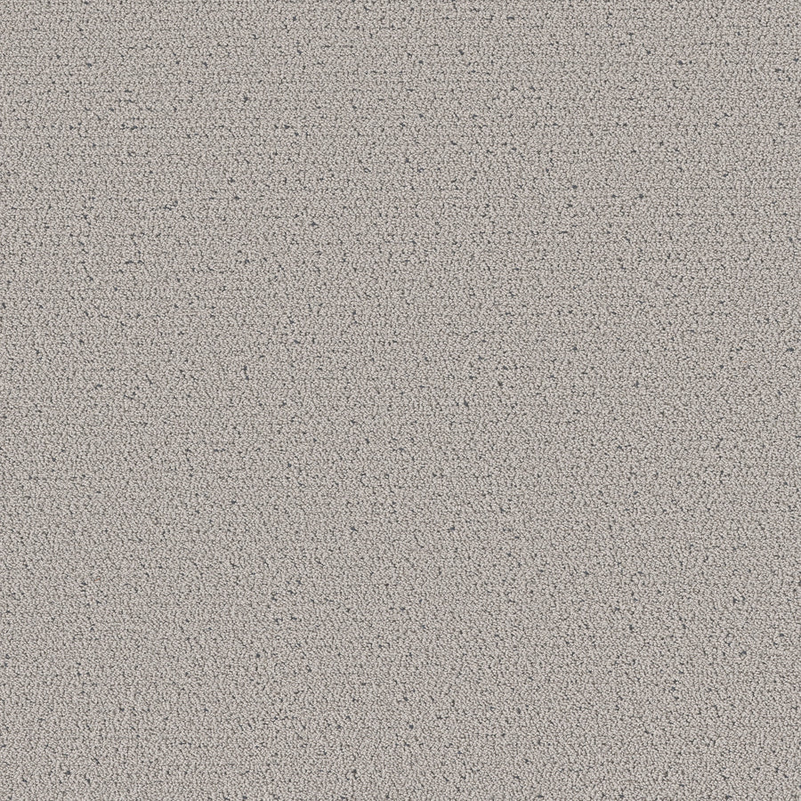 Shaw Floors - Carpet - Pet Perfect™ Collection Collection - Intricate Trace - 12' - Flannel