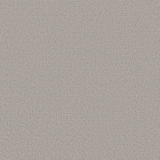 Shaw Floors - Carpet - Pet Perfect™ Collection Collection - Intricate Trace - 12' - Rock Crystal
