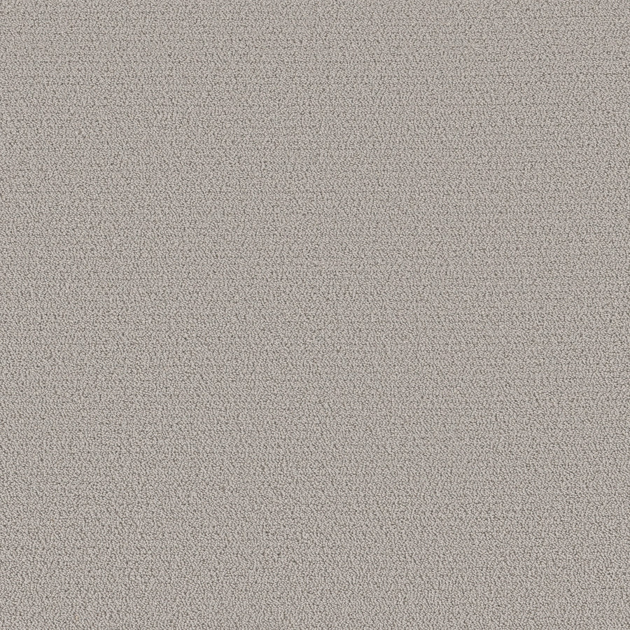 Shaw Floors - Carpet - Pet Perfect™ Collection Collection - Intricate Trace - 12' - Rock Crystal