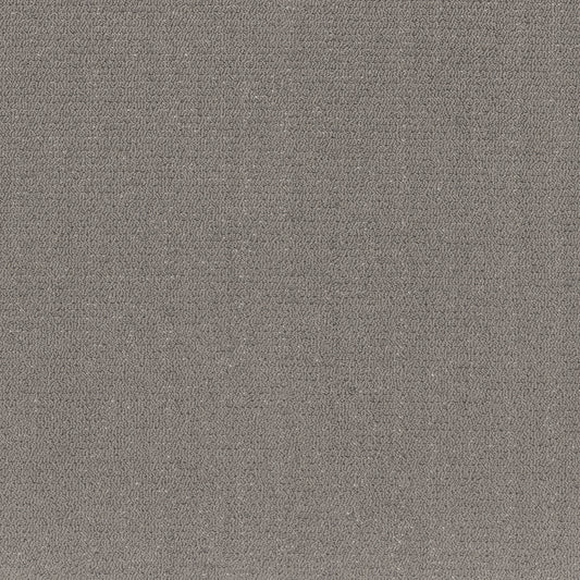Shaw Floors - Carpet - Pet Perfect™ Collection Collection - Intricate Trace - 12' - Vintage