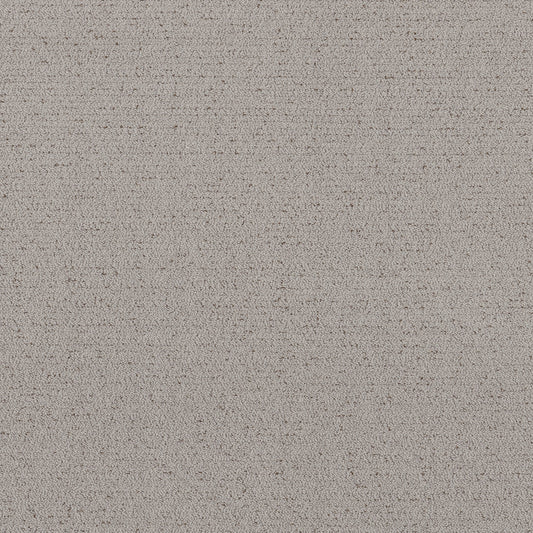 Shaw Floors - Carpet - Pet Perfect™ Collection Collection - Intricate Trace - 12' - Gravity
