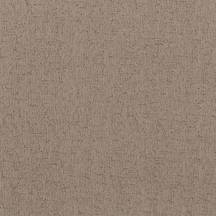 Shaw Floors - Carpet - Pet Perfect Collection - Run Free - 12' - Cameo