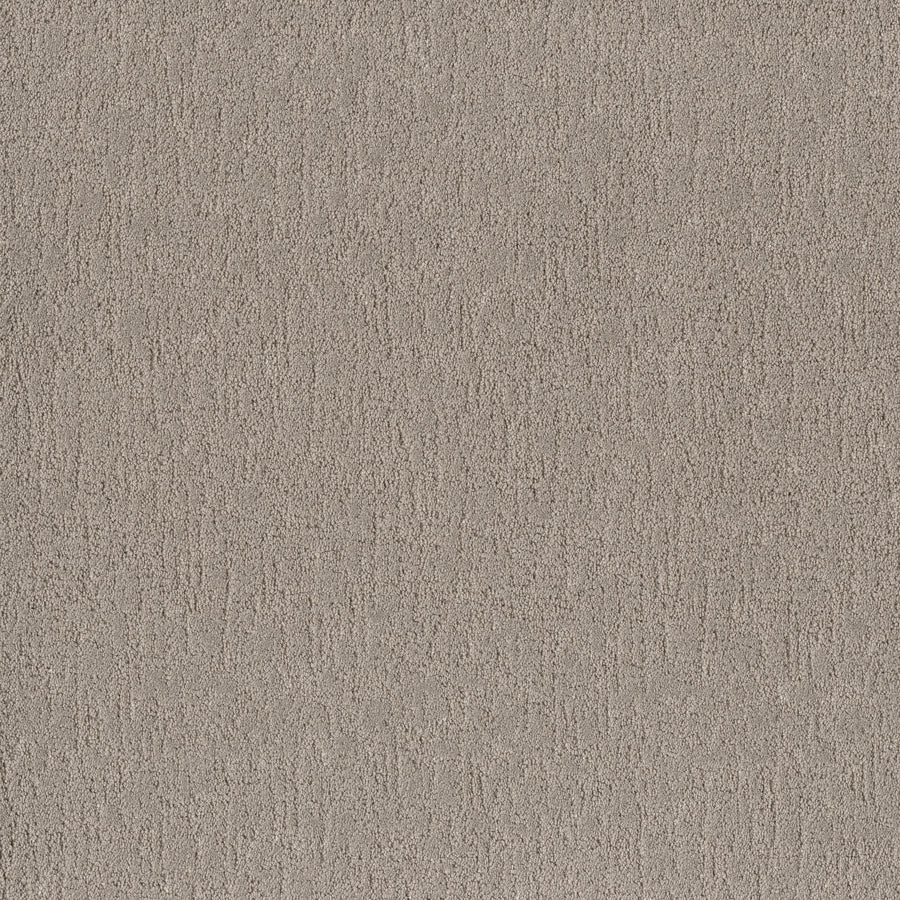 Shaw Floors - Carpet - Pet Perfect Collection - Run Free - 12' - Sculpture