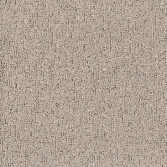 Shaw Floors - Carpet - Pet Perfect Collection - Run Free - 12' - Warm Light