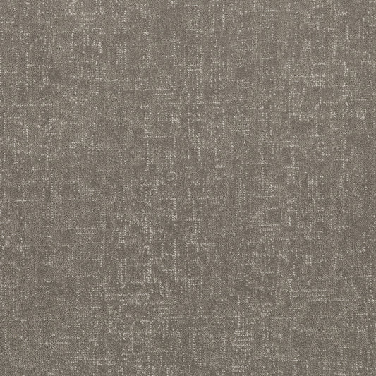 Shaw Floors - Carpet - Pet Perfect Collection - Run Free - 12' - Ashes