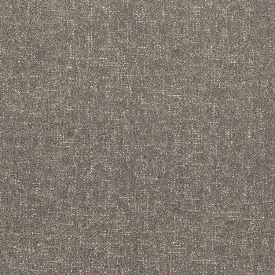 Shaw Floors - Carpet - Pet Perfect Collection - Run Free - 12' - Ashes
