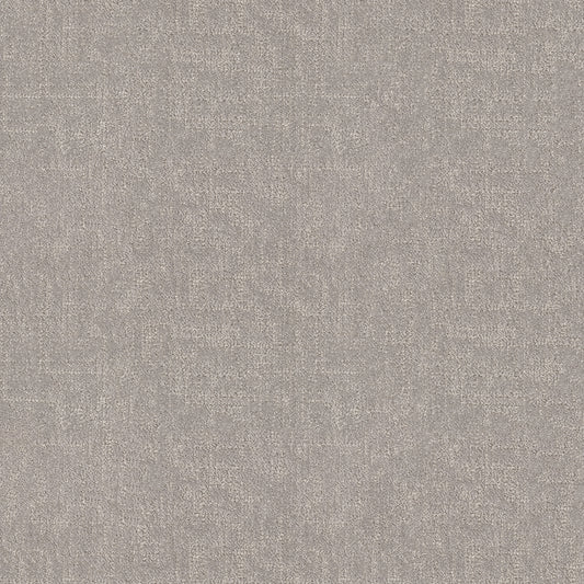 Shaw Floors - Carpet - Pet Perfect Collection - Run Free - 12' - Rock Crystal
