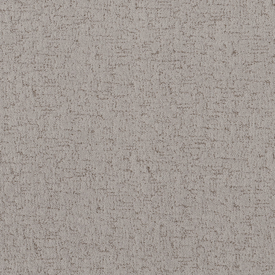 Shaw Floors - Carpet - Pet Perfect Collection - Run Free - 12' - Gravity