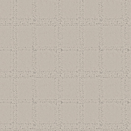 Shaw Floors - Carpet - Pet Perfect Collection - Natural Calm - 12' - Marble